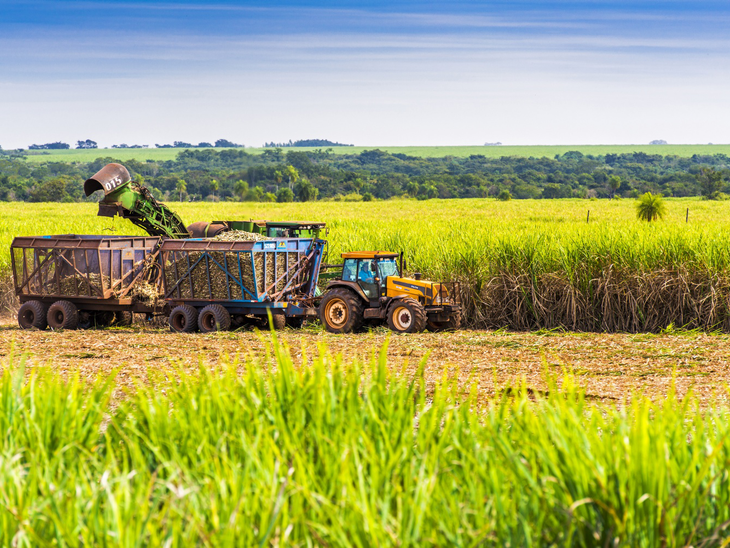 Etanol/Cepea: hidratado tem 2ª semana seguida de alta