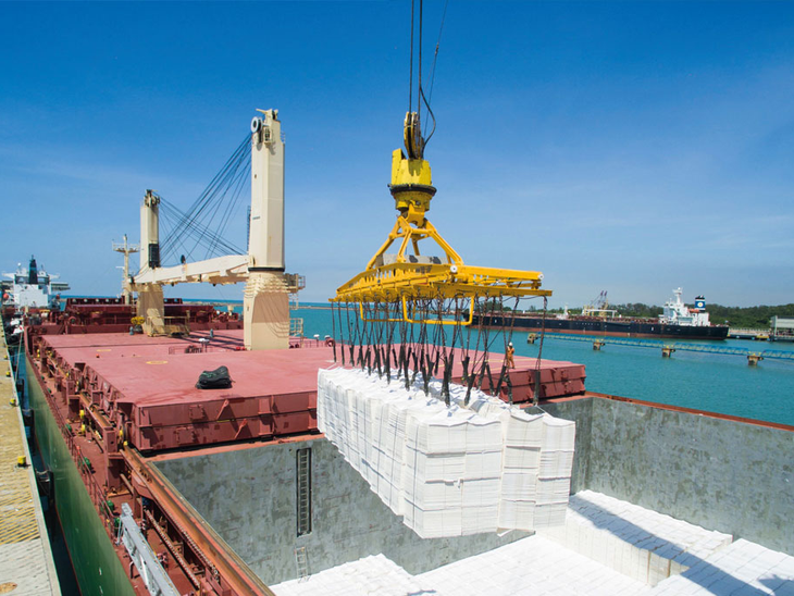 Com 39.048 toneladas embarcadas em 24 horas, Portocel estabelece recorde mundial no embarque de celulose