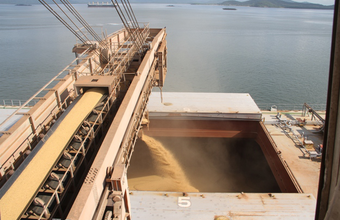 Movimentação de cargas nos Portos do Paraná cresce 15%