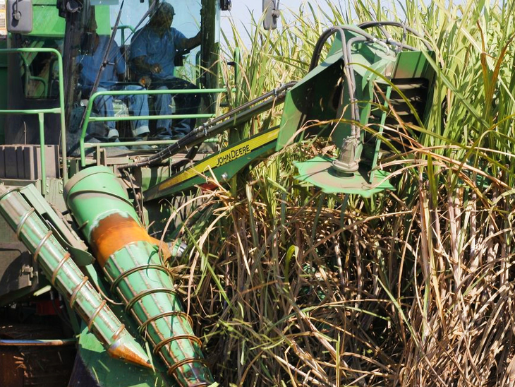 Produção de anidro avança em ritmo acelerado mesmo com queda na qualidade da matéria-prima