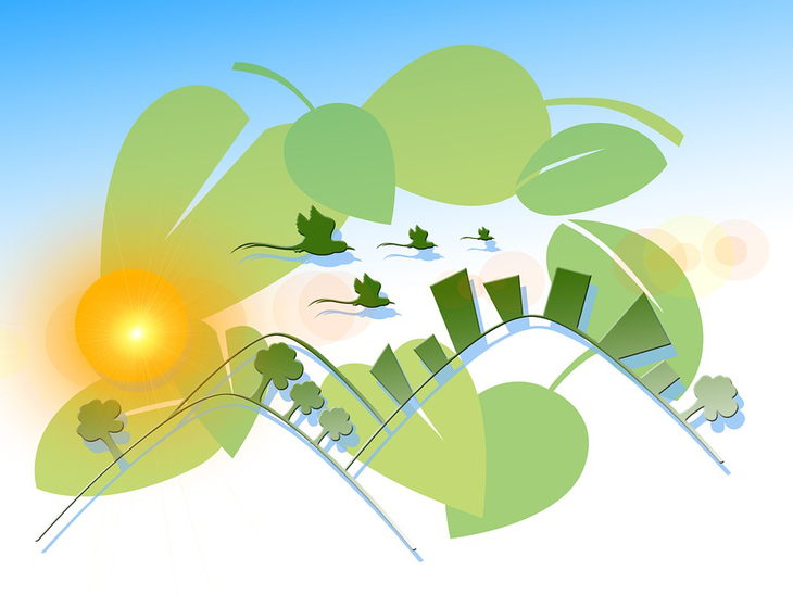 Matriz de energia renovável compõe indicador nacional que avalia as 50 cidades brasileiras