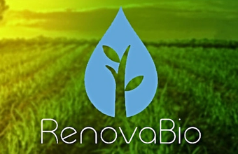 RenovaBio reúne elementos próprios do mercado regulado de carbono