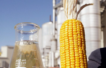 Produção de etanol de milho avança 61,1% e o de cana-de-açúcar recua 18,4%