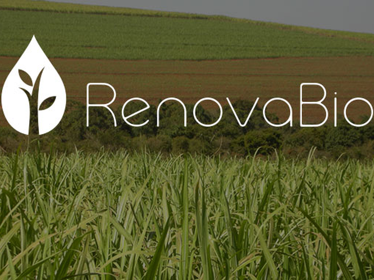 ANP aprova primeiro certificado da produção eficiente de biocombustíveis para importador de biocombustíveis