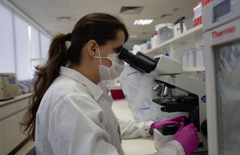 Vale e ICMBio lançam projeto inédito para mapear DNA da biodiversidade brasileira