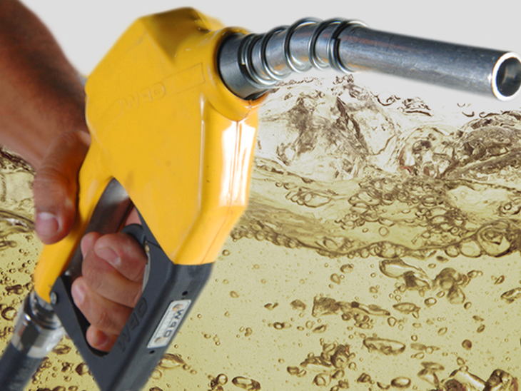 BC reduz projeção para aumento do preço da gasolina e da energia elétrica