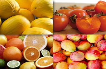 Maior consumidora de melão do mundo, a China abre o mercado para a fruta brasileira