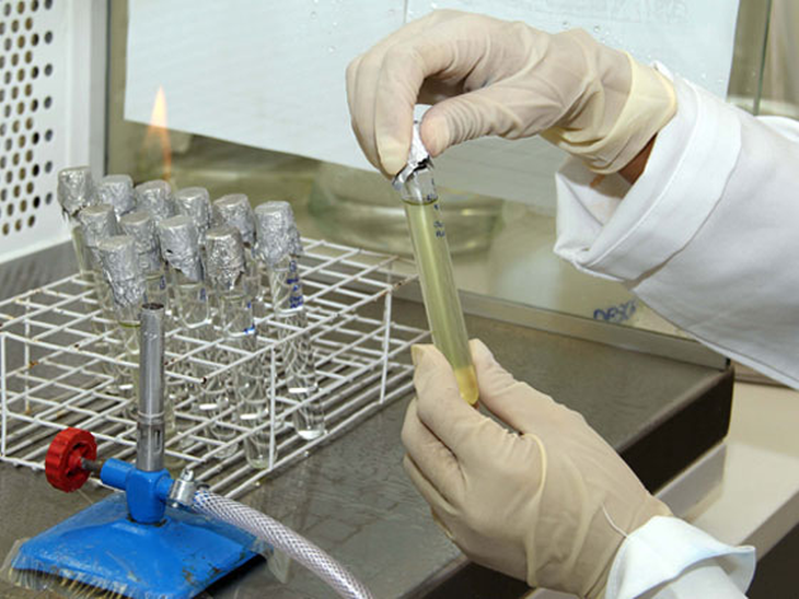 40º Leilão de Biodiesel da ANP negocia 667,8 milhões de litros 