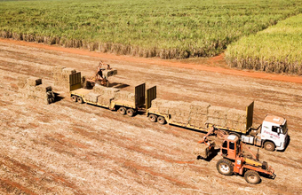 Com investimentos de mais de R$ 20 milhões, Bevap inaugura planta de etanol anidro em MG