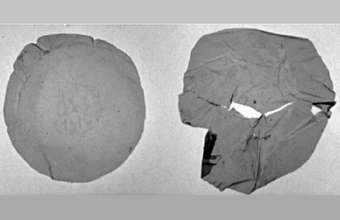 Pesquisadores brasileiros encontram bactéria capaz de transformar lixo plástico em bioplástico