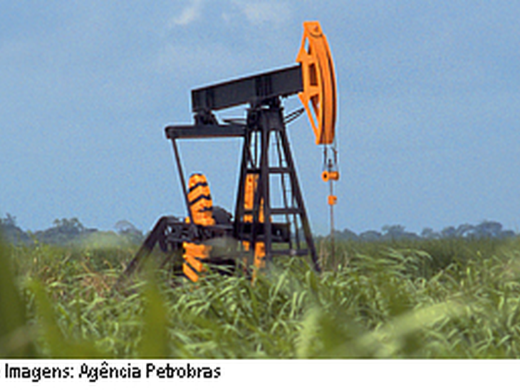 Nova diretoria assume a ABPIP