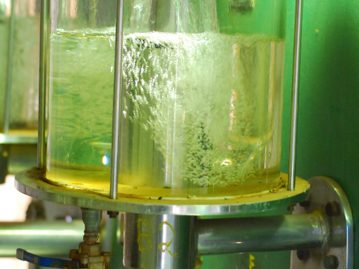 Argentina: adoção de E12 na reforça potencial do etanol com uma commodity global