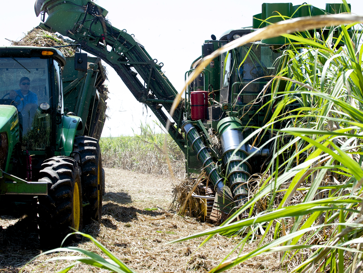 Preços do anidro e hidratado caem na semana  