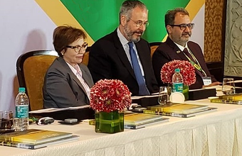 Tereza Cristina, da Agricultura durante evento na Índia defende parceria com Brasil na produção de etanol