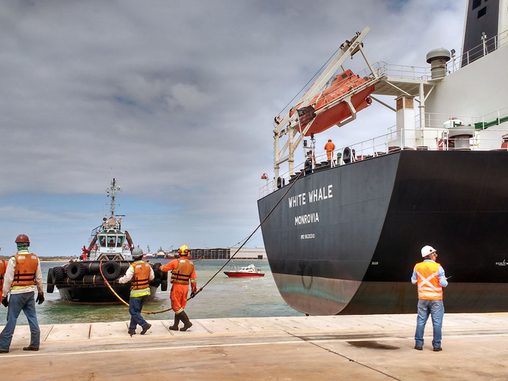 Com 600 mil toneladas Terminal Multicargas do Porto do Açu supera volume movimentado em todo o ano passado