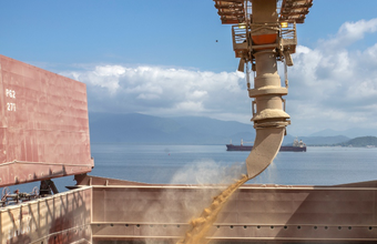 Porto de Paranaguá prevê exportar 6,5 milhões de toneladas de granéis no 2º trimestre