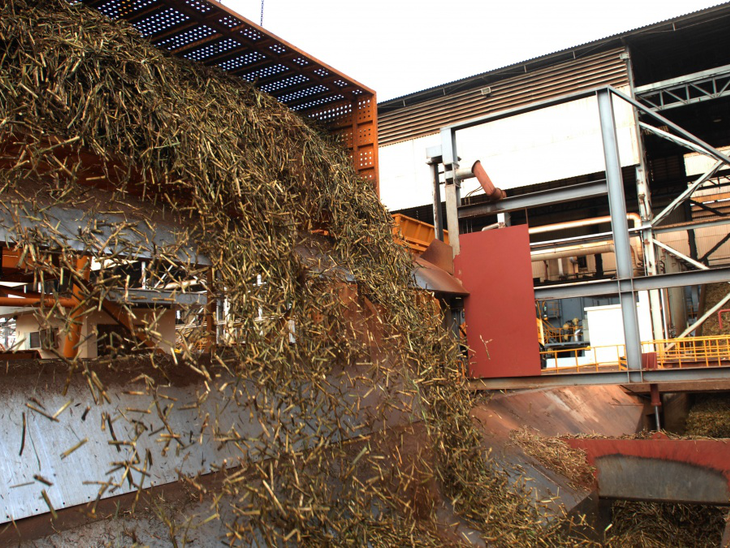 Moagem de cana-de-açúcar atinge 46,54 milhões de toneladas na primeira quinzena de julho