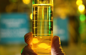 Petrobras e Vale avançam com parceria no fornecimento de combustíveis