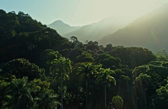 Shell Brasil, Petrobras e CCARBON/USP lançam o Carbon Countdown, maior banco de dados de estoques de carbono já realizado no país
