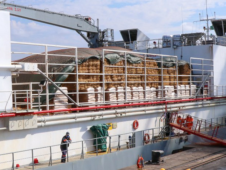 Porto de Imbituba exporta 3.595 bois vivos para a Turquia