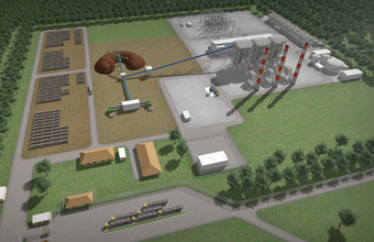 Usina movida a biomassa da Bolt é autorizada a desenvolver linhas de transmissão