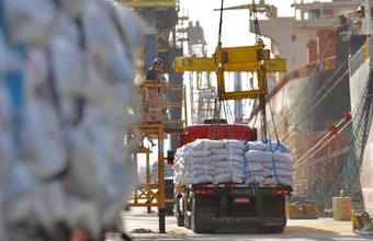 Embarque inédito de gergelim mostra eficiência do Porto de Paranaguá em diferentes tipos de carga