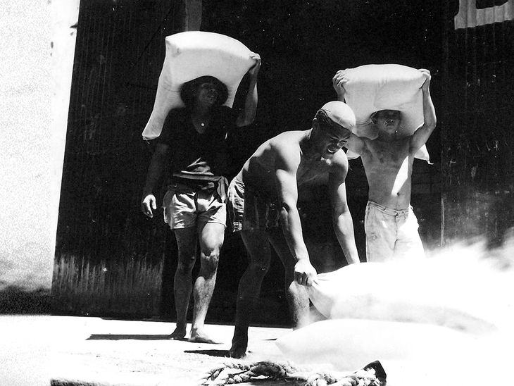 Recorde de produtividade marca os 81 anos do Porto de Paranaguá