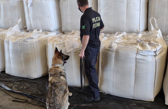 Cães farejadores participam de operação no Porto de Paranaguá