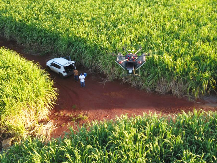 BP Bunge Bioenergia amplia uso de biofertilizantes