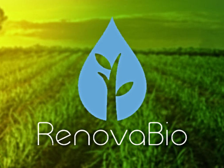 RenovaBio: ANP divulga metas definitivas para as distribuidoras em 2026