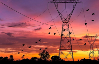 MP do setor elétrico: Órigo Energia ressalta importância de manter estabilidade regulatória