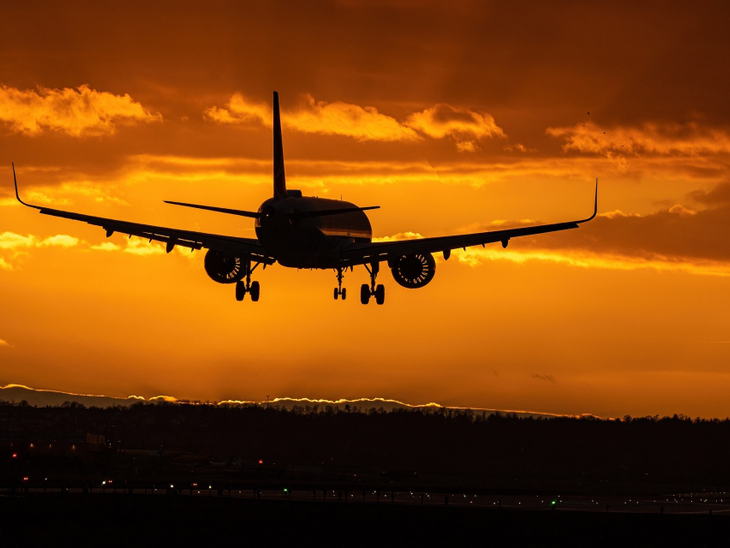 Nova enzima pode impulsionar a produção sustentável de combustível para aviação