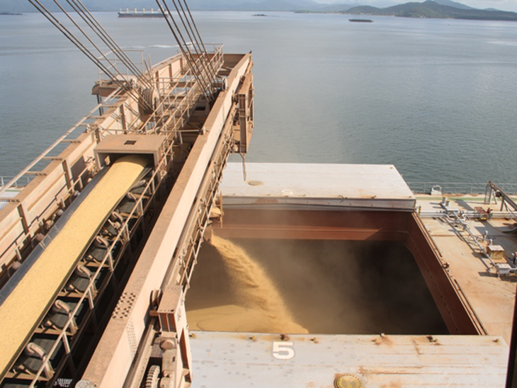 Movimentação de cargas nos Portos do Paraná cresce 15%