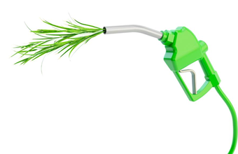 Estado de Goiás institui política estadual "Na Hora de Abastecer, Escolha Etanol"