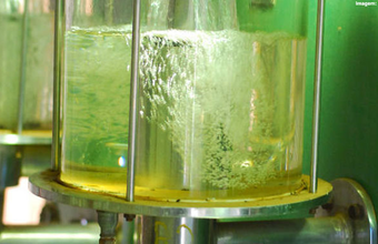 hidratado valoriza 4,41% e anidro sobe 0,23% na semana  