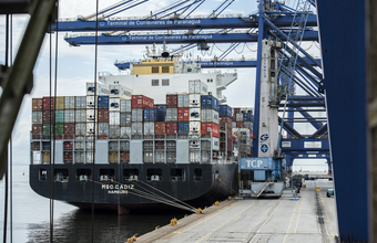 Exportação de algodão cresce 3.098% nos portos do Paraná
