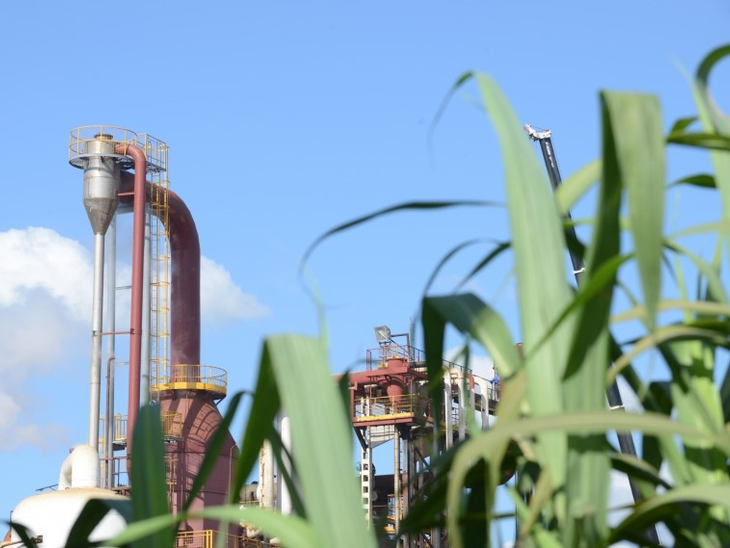 Diana Bioenergia recebe certificado Energia Verde