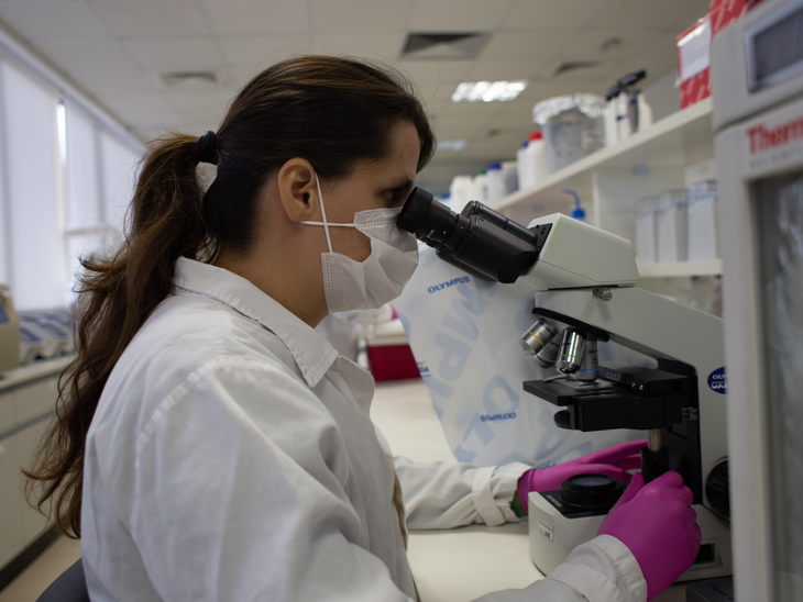 Vale e ICMBio lançam projeto inédito para mapear DNA da biodiversidade brasileira