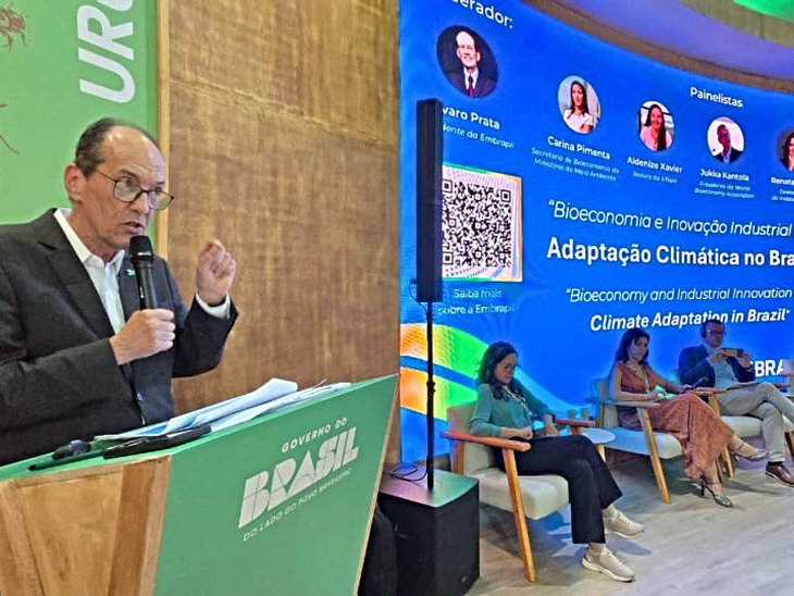 Eficiência energética é essencial para desacoplar crescimento econômico e demanda de energia