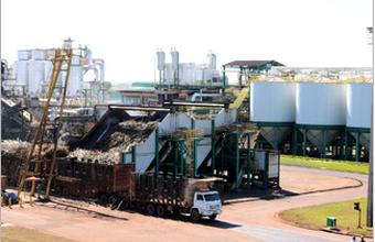 Produtores de cana garantem que não haverá desabastecimento de etanol