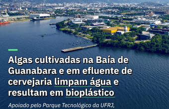 Sustentabilidade em prática: um dos projetos apoiados pelo Parque Tecnológico da UFRJ cultiva artificialmente algas na Baía de Guanabara e em efluentes de cervejaria para transformá-las em bioplásticos biodegradáveis. Essa iniciativa inovadora, liderada pela pesquisadora da Federal University of Rio de Janeiro, Anita Valle, oferece uma alternativa sustentável ao plástico descartável, podendo ser uma alternativa a plásticos de uso único que embalam canudos, palitos de dente e guardanapos, por exemplo.  As algas também atuam na descarbonização do meio ambiente e na remoção do excesso de nutrientes acumulados em ambientes aquáticos devido à atividade humana.  “Graças ao financiamento do Parque, o bioplástico não teria saído do papel e se tornado uma realidade viável para a sociedade”, destaca a pesquisadora.  Desde 2021, o programa Projetos Especiais do Parque já destinou mais de R$ 5 milhões para iniciativas de PD&I oriundas da UFRJ e alinhadas aos Objetivos de Desenvolvimento Sustentável (ODS) da ONU. Esse projeto de bioplástico promove uma bioeconomia circular, transformando resíduos em insumos para uma produção ambientalmente responsável.  🌐 Leia mais sobre essa inovação e descubra os desafios dessa tecnologia sustentável na entrevista completa: https://lnkd.in/dPwvA4ky