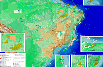 11ª Rodada: pacote de dados online oferece agilidade e qualidade
