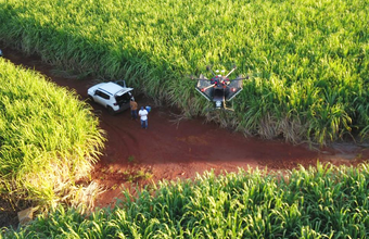 BP Bunge Bioenergia amplia uso de biofertilizantes