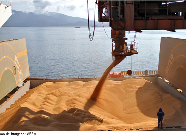 Paranaguá lidera a exportação nacional do complexo soja