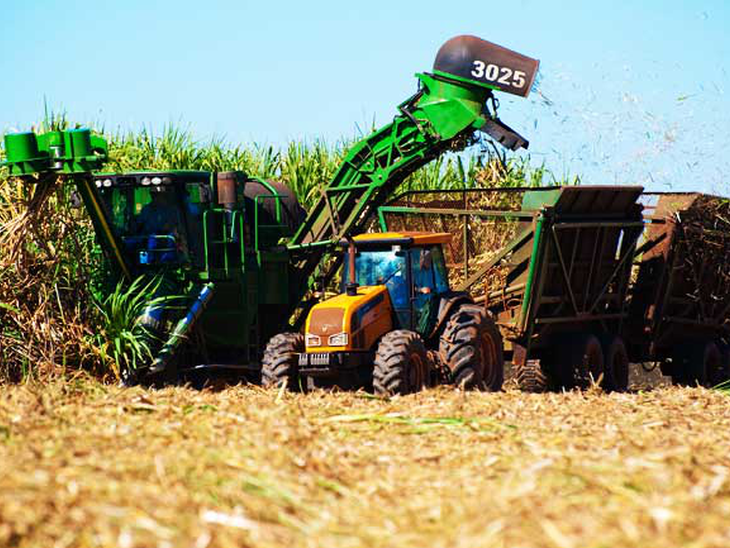 Etanol anidro subiu quase 7% na última semana; hidratado valorizou 4,32%  