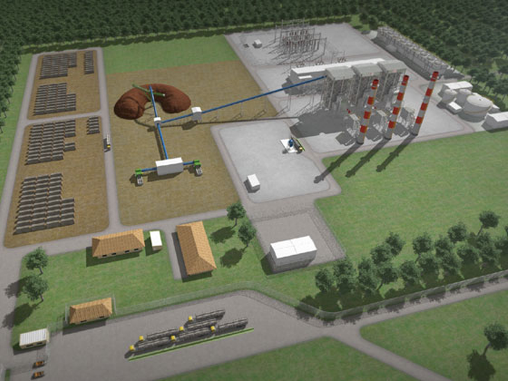 Usina movida a biomassa da Bolt é autorizada a desenvolver linhas de transmissão