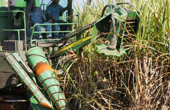 Com destaque para o etanol anidro, safra segue mais alcooleira no Norte/Nordeste