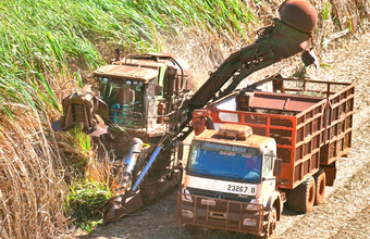 Com quase 20 bilhões de litros, 2018 apresenta o maior consumo do etanol na década  