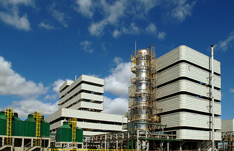 Petrobras Biocombustível bate recorde de vendas