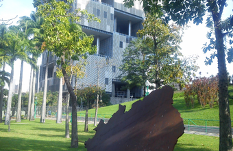 Petrobras participa do Congresso "Mercado Global de Carbono, Descarbonização & Investimentos Verdes" no Rio